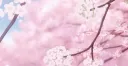 ⋆.ೃ࿔*:・ ℱ𝒶𝓁𝓁𝒾𝓃𝑔 𝓅ℯ𝓉𝒶𝓁𝓈 𝓈ℴ𝒸𝒾ℯ𝓉𝓎૮ ྀིᴗ͈ . ᴗ͈ ྀིა Discord server banner