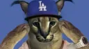 ⊹₊˚‧︵‿₊୨ 𝗙𝗹𝗼𝗽𝗽𝗮 𝗴𝗮𝗻𝗴 ୧₊‿︵‧˚₊⊹ Discord server banner