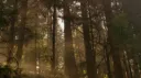 𐂂 ` yumewest ✧ Discord server banner