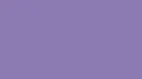 The Women. Discord server banner