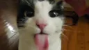𝚂𝚑𝓐𝚍𝚎𝚍 Discord server banner