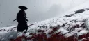 splash