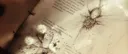 ୨୧ acronym | gcs , active Discord server banner