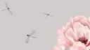 ︵ 𝓴alopsia . ◌Ⳋ𝅄 Discord server banner