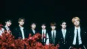 𓆩𓆪 : /vam-hypen . #ot7 . 엔하 tag Discord server banner