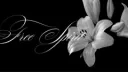 Pale Bloom Discord server banner