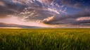 🌾|| 𝔊𝔬𝔡 𝔖𝔢𝔫𝔱 Discord server banner