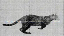 𝙑𝙖𝙡𝙤𝙪𝙧𝙚 Discord server banner