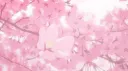 Ooofey ⋆ Discord server banner