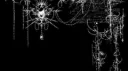 Nexus Discord server banner
