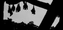Bat Discord server banner