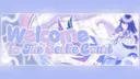 the seelie court 𓏲🪽˚. ˖ Discord server banner