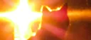 The Mojave Wasteland Felines Discord server banner