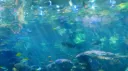 ꒰ ⑅ Heaven of ra*bits ໒꒱ིྀ༝⁺ Discord server banner