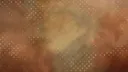 🌻 flower valley ⸝⸝ Discord server banner