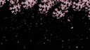 plotilt