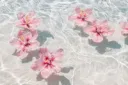 /sanas #new ࣭ ⭑‧₊˚ ⋅ Discord server banner