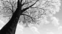 新的, chérie .. Discord server banner