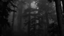 /shut Discord server banner