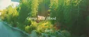 ⊹ ࣪ ˖ ⚔ - 𝒄𝒂𝒎𝒑 𝒉𝒂𝒍𝒇 𝒃𝒍𝒐𝒐𝒅 - ⚡ Discord server banner