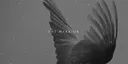 heaven's birds Discord server banner