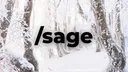 .gg/sage Discord server banner