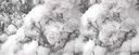 Silver Swans | Sfw Discord server banner
