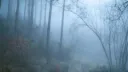 Slasher Haven Discord server banner