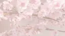 /pinkness Discord server banner