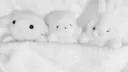 /sick #vc Discord server banner