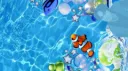 ˚꒰🌊 the fruitgle.ᐟ Discord server banner