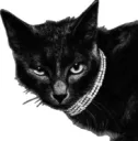 𝖦𝗋𝖺𝗏𝖾𝗒𝖺𝗋𝖽 ♱ ¹ ⁸ ⁺ Discord server banner