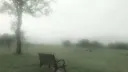 Larpers Discord server banner