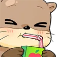 Snackers splash
