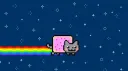 Nyan Zone splash