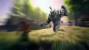 Pirat Studios splash