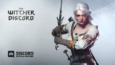 The Witcher splash