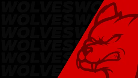 WOLVES splash