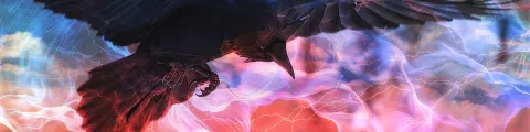 The Nest splash