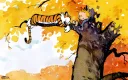 splash