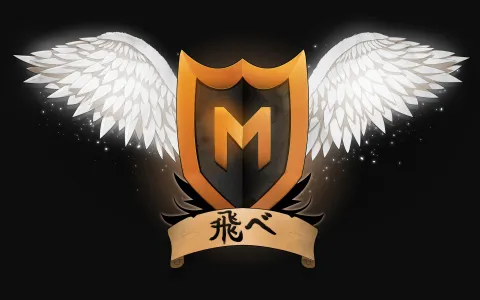 McDiscord splash