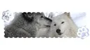 GamingLyfe Discord server banner