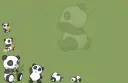 The Panda Army splash