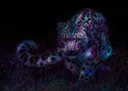 Kontabi Familia Discord server banner