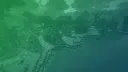 Skript Hub splash