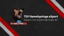 TSV Hamelspringe eSport splash