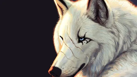 The Wolfpack splash