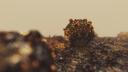 Graphics Programming