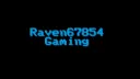 Raven Gaming Lab splash