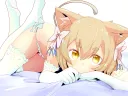 Anime Made Me Gay splash